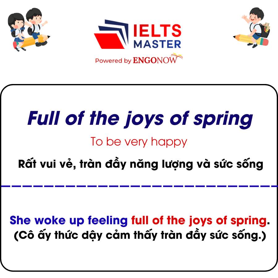 Idioms Happiness