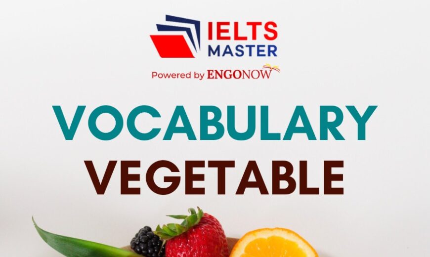 vocabulary vegetable