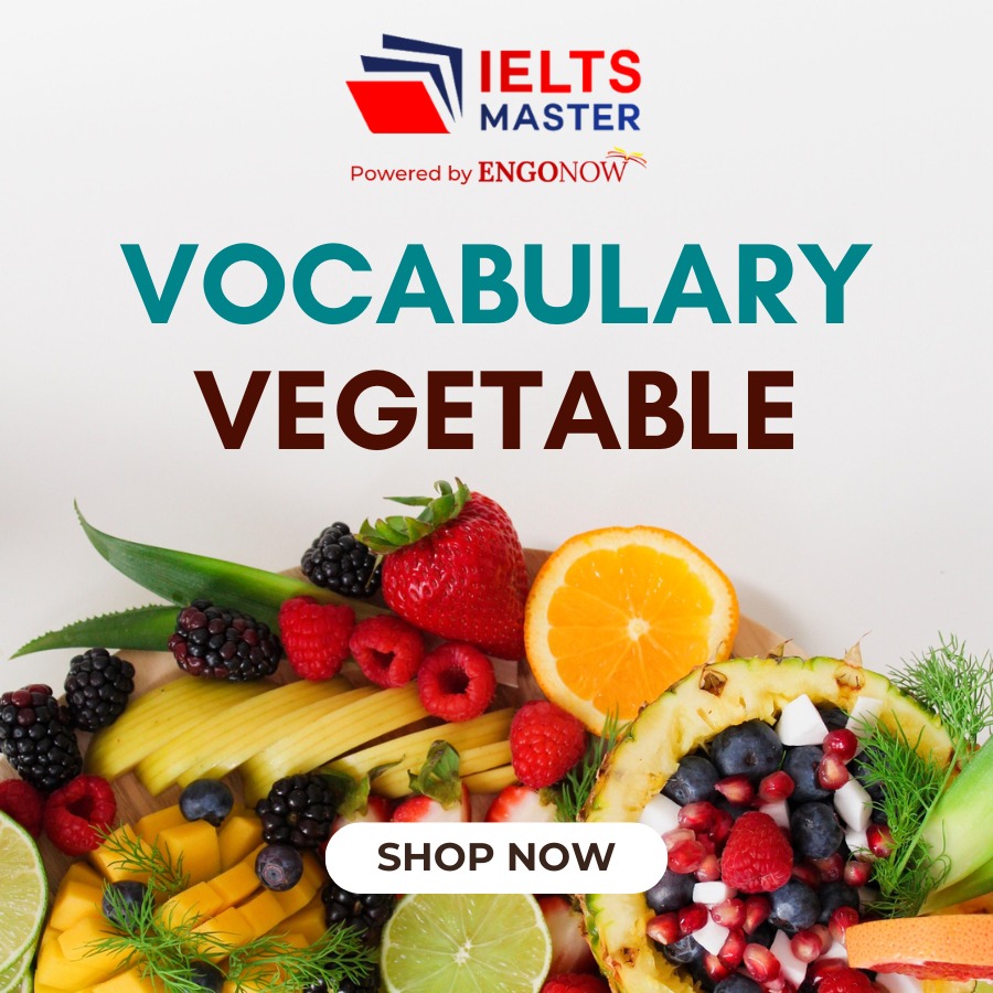 vocabulary vegetable