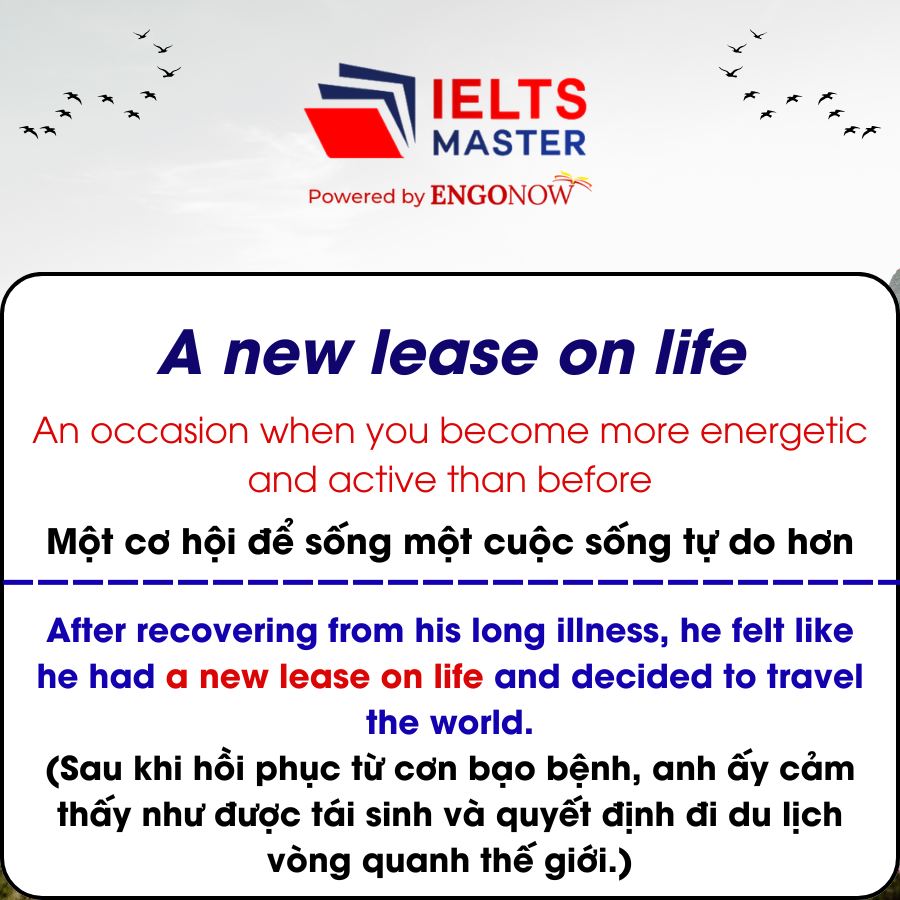 idioms freedom