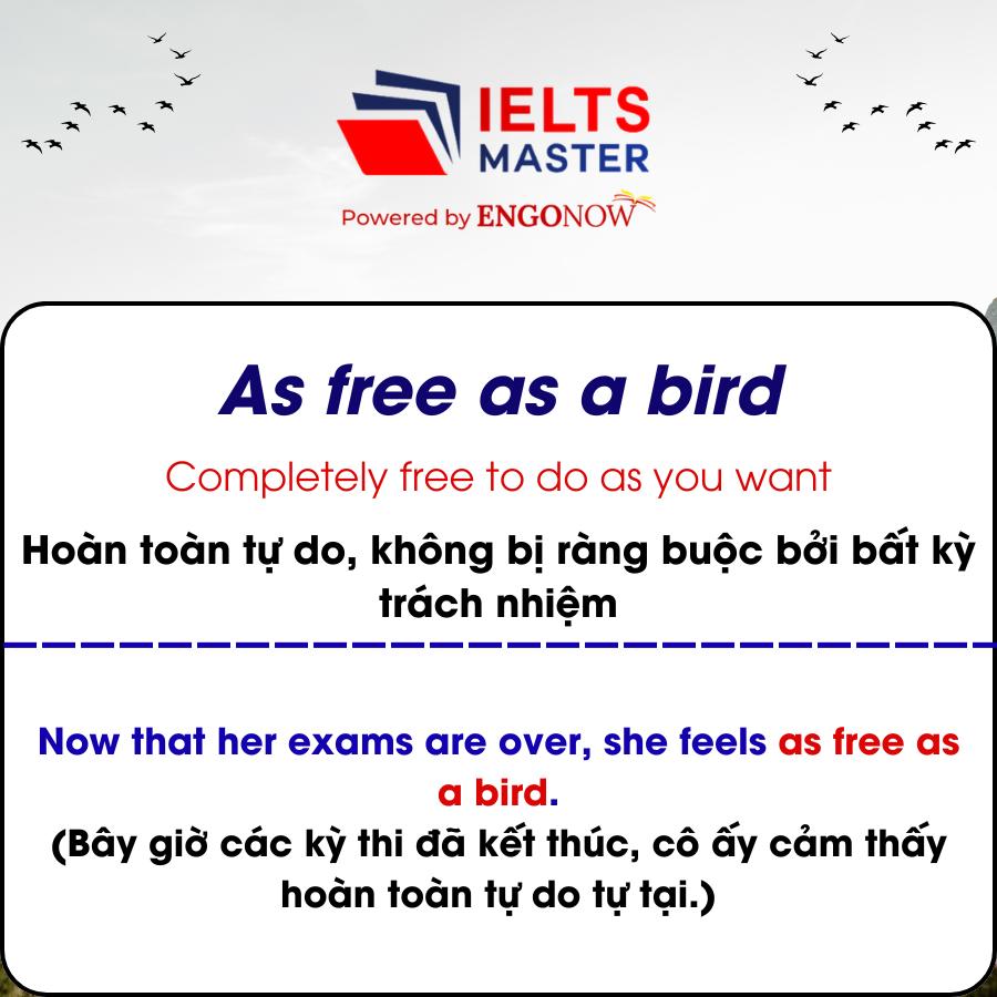 idioms freedom