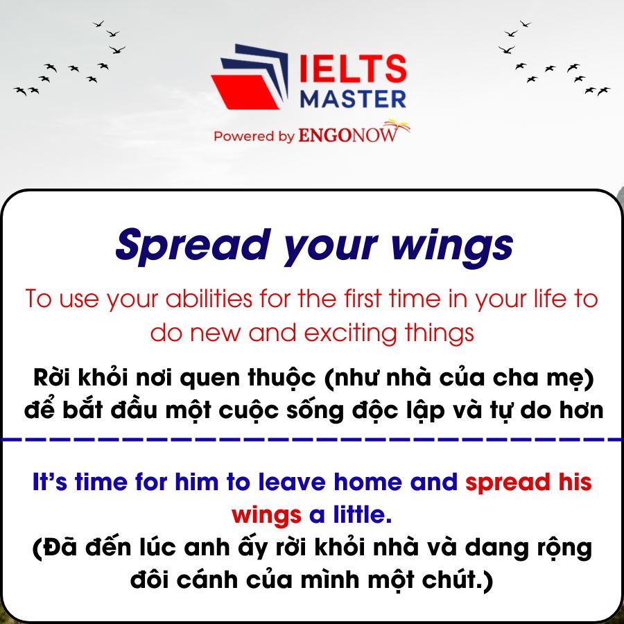 idioms freedom