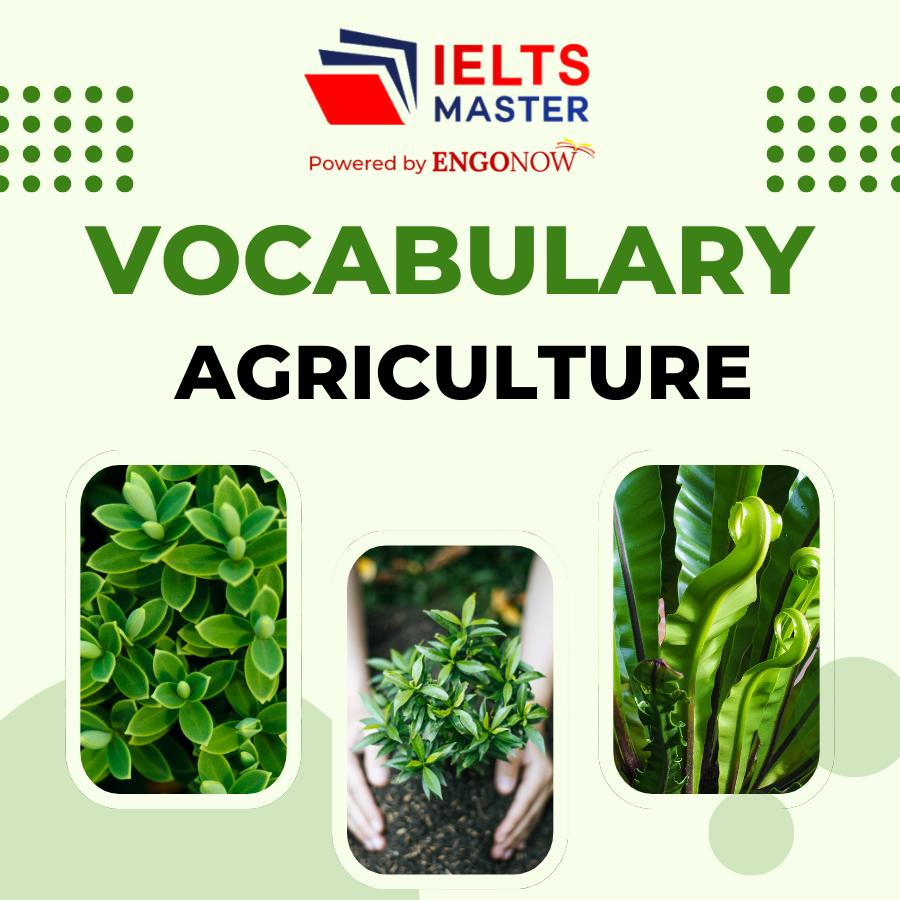 Vocabulary Agriculture