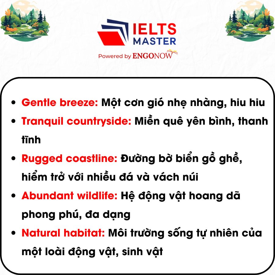 Collocations Nature