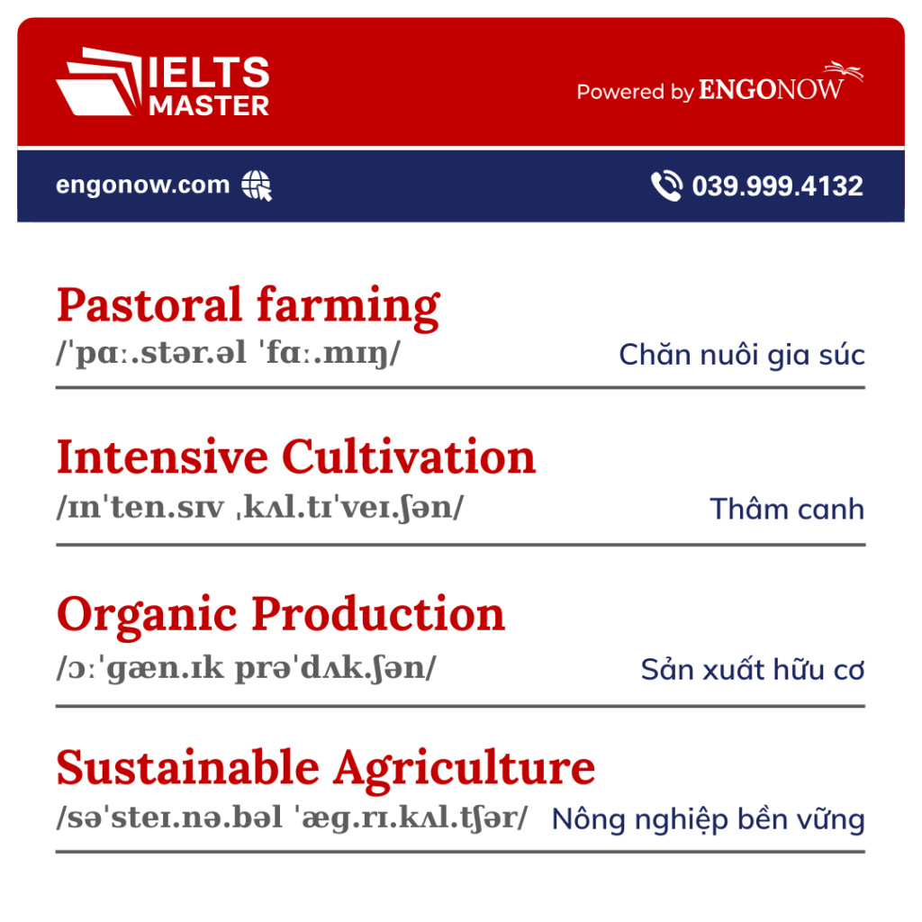 từ vựng tiếng Anh chủ đề nông nghiệp