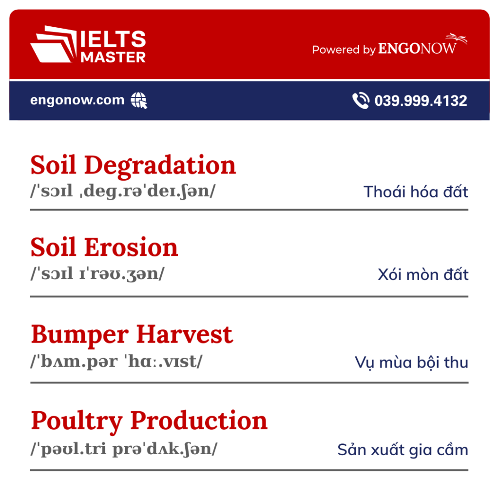 từ vựng tiếng Anh chủ đề nông nghiệp