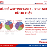 bài mẫu ielts writing task 1