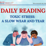 daily reading