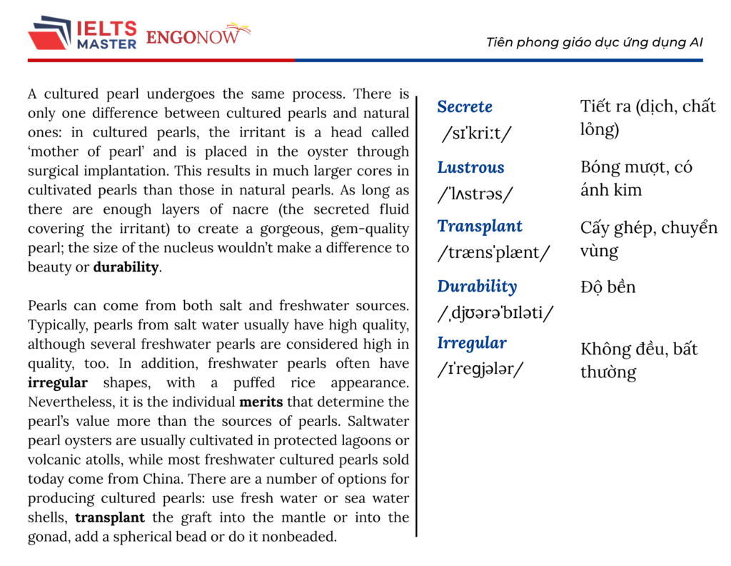 ielts bình tân