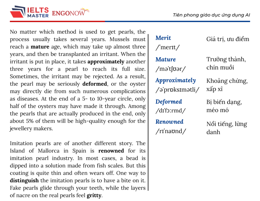 ielts bình tân
