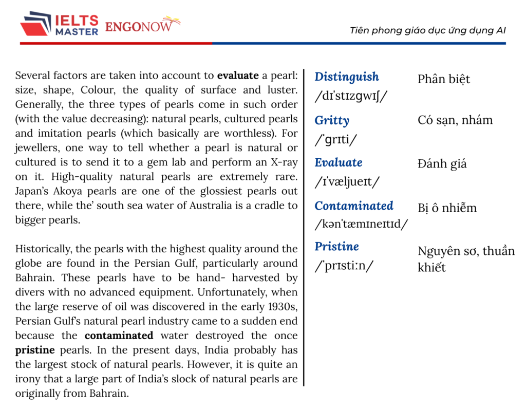 ielts bình tân