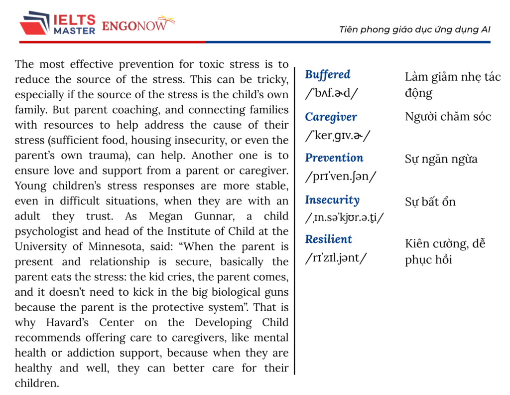 ielts bình tân