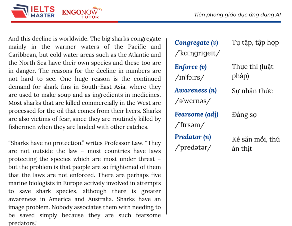 ielts bình tân