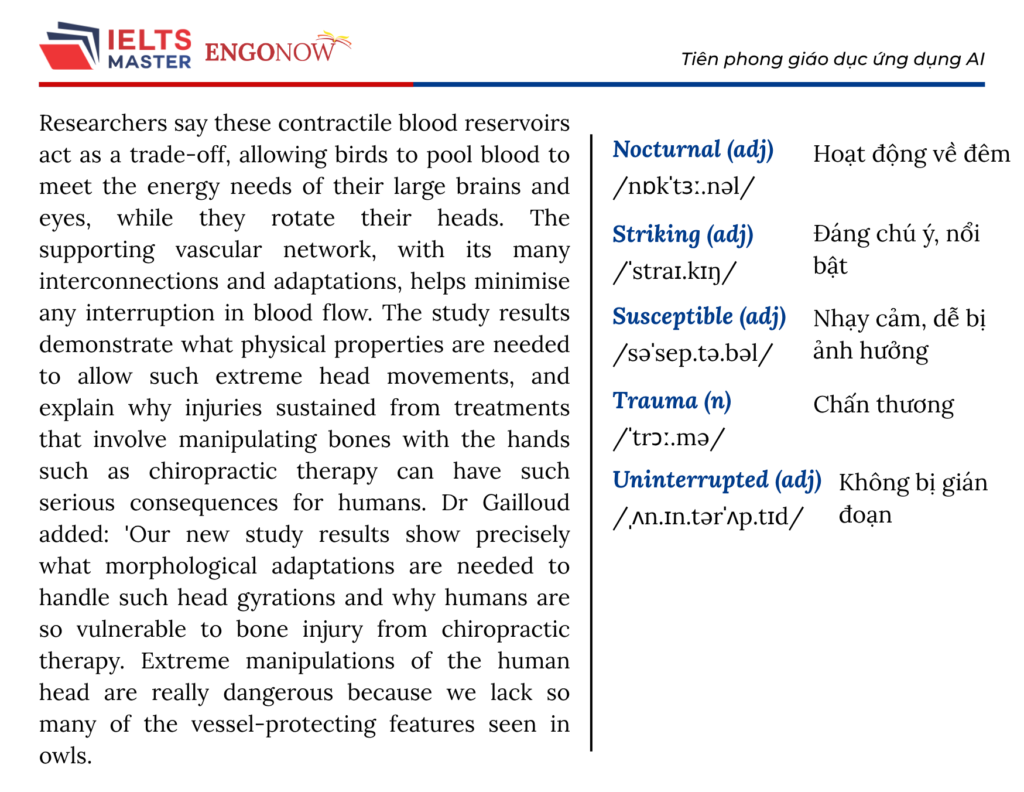 IELTS Bình Tân