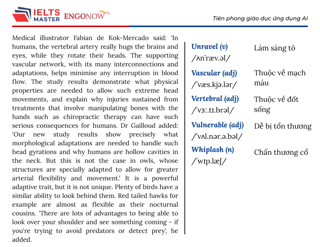IELTS Bình Tân