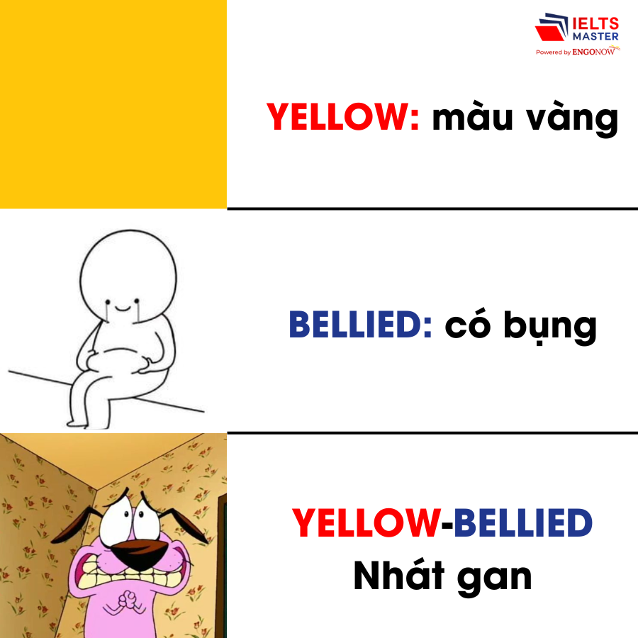 Yellow-Bellied